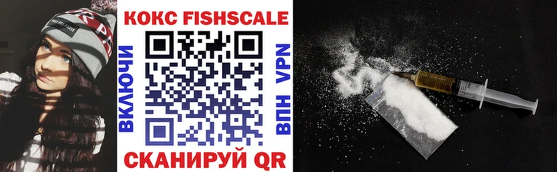 где купить   Лесной  mega ONION  COCAIN Fish Scale 