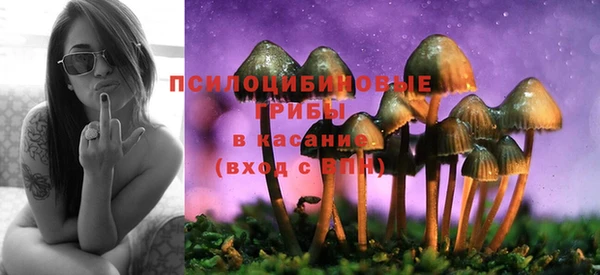 твердый Алзамай