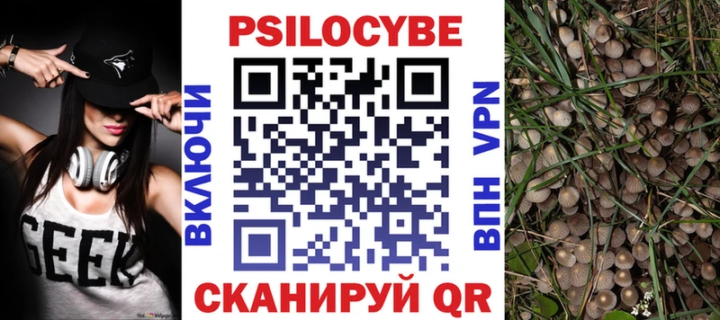 Псилоцибиновые грибы Psilocybine cubensis  Лесной 