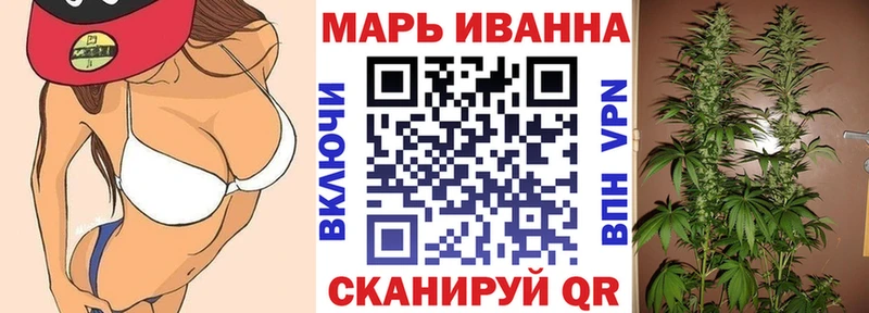 где купить   Лесной  Канабис сатива 